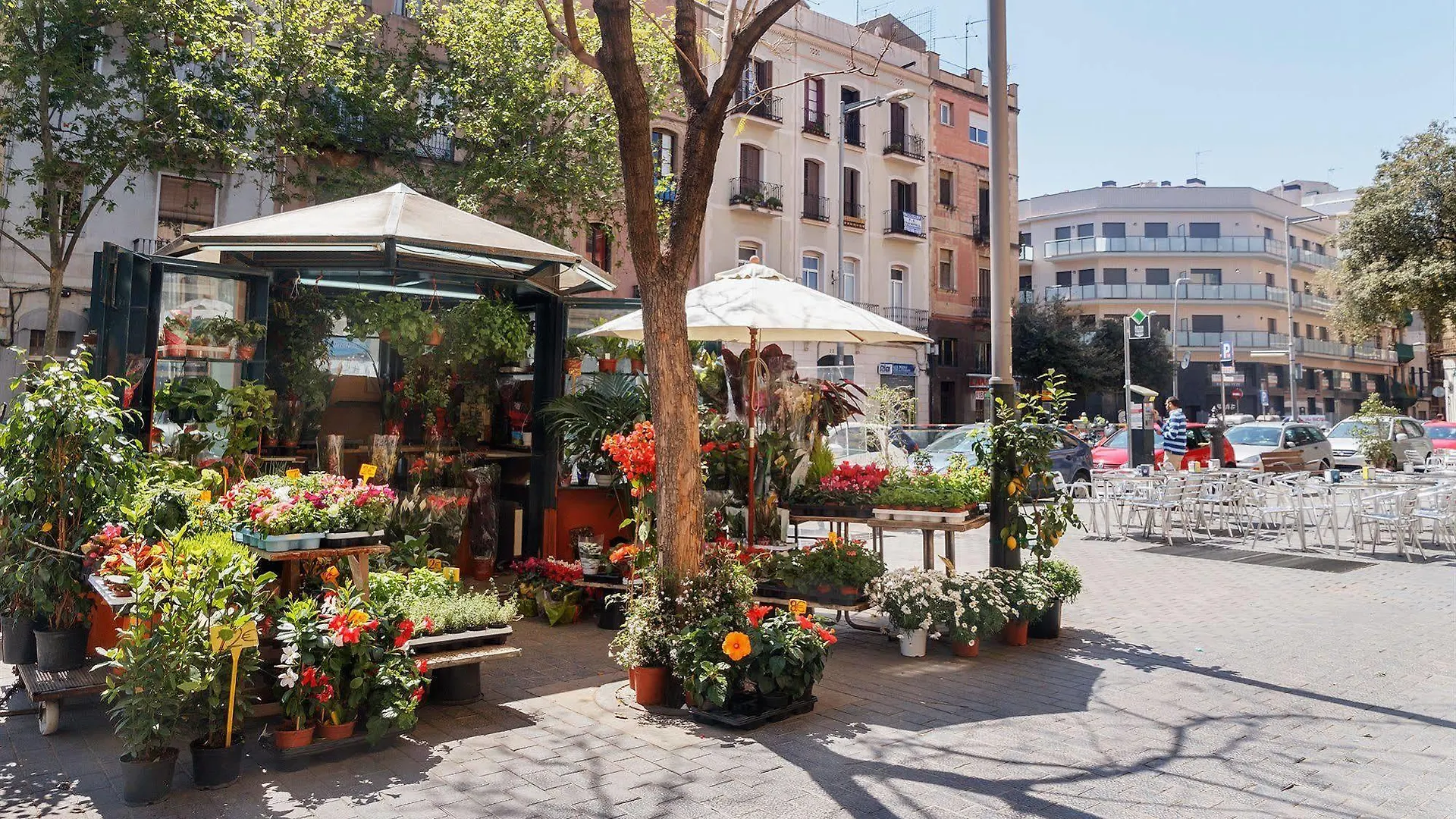 Feelathome Plaza Apartments Barcelona Spain